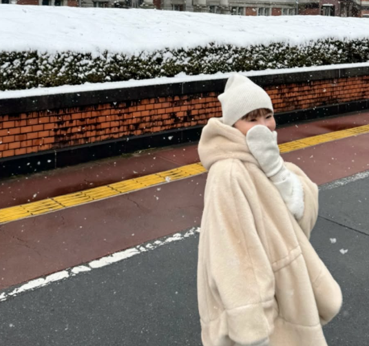 A snowy day in Tokyo